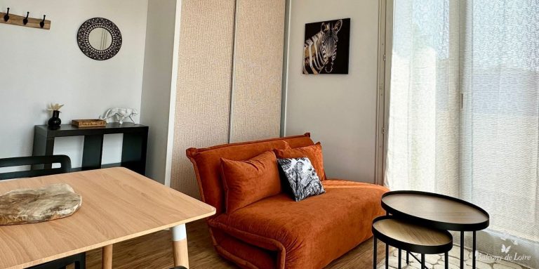 Oasis urbaine en plein cœur de Tours : Appartement savane avec balcon