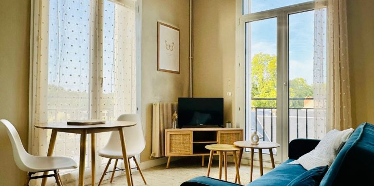 Appartement bohème avec vue sur la Loire en plein cœur de Tours
